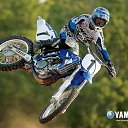 ���� ������, �����������, 43 ���� - ��������� 25 ������� 2017 � ������ ���� ����������