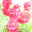 ���� �������..����� ������������.... �� ������� ���� ����������