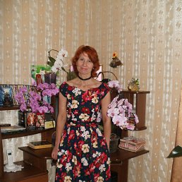 �����, ������, 53 ����