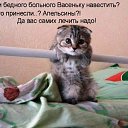 ���� ����,�������, �����-��������� - ��������� 7 ������ 2017 � ������ ������ ��������