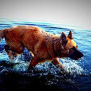 ���� Valentin, ��������, 43 ���� - ��������� 4 ��� 2017 � ������ �8al�