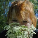 ���� �������, �����-���������, 38 ��� - ��������� 27 ���� 2017 � ������ ���� ����������