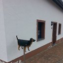 W-2017 �� ������� ���� ����������