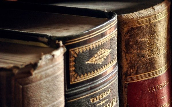 25 достойных прочтения деловых книг.1. Карл Сьюэлл, Пол Браун «Клиенты на всю жизнь»2. Стивен Кови ...