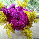 ���� ������, ���������, 47 ��� - ��������� 21 ���� 2017 � ������ �����