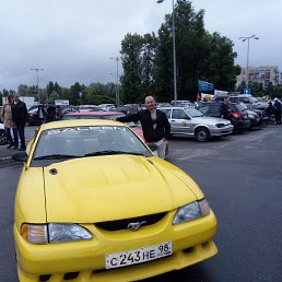 ���� ������, �����-���������, 40 ��� - ��������� 2 ���� 2017