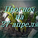���� ������, ���������, 55 ��� - ��������� 26 ������ 2017 � ������ ������ ��������