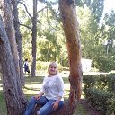 ���� �������, ������� - ��������� 16 �������� 2017 � ������ ���