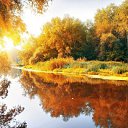 ���� Andrey, ������ - ��������� 29 ������� 2017 � ������ ������ ��������