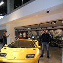 ���� ������, �����-���������, 44 ���� - ��������� 2 ������� 2017 � ������ ���� ����������