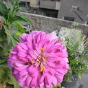 ���� Hamid, ����, 73 ���� - ��������� 4 ���� 2017 � ������ ������ ��������