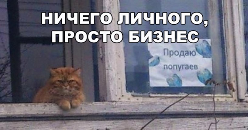 About different ! - 11  2017  21:29