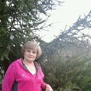 ���� �������, ����, 71 ��� - ��������� 4 ��� 2017 � ������ ���� ����������