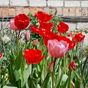 ��� 2017 �� ������� ���� ����������� (!) ��������)�