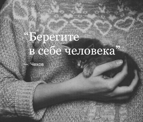    - 3  2017  12:10