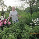 ���� �������, �������, 72 ���� - ��������� 25 ������� 2017 � ������ ��� ����