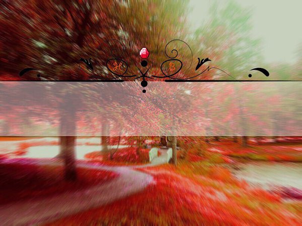 ��� ��������� �: -����� - 5