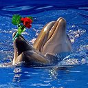 ���� ������, ������ - ��������� 31 ������� 2017 � ������ �������