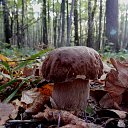 ���� �����, ����, 58 ��� - ��������� 21 �������� 2017 � ������ ���� ����������