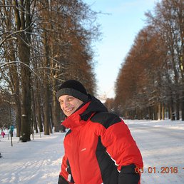 �������, �����-���������, 48 ���