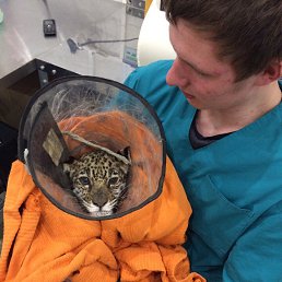 ���� ���������, ������ - ��������� 16 �������� 2017