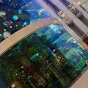 ���� Marina, ������ - ��������� 7 ��� 2017 � ������ ���� ����������