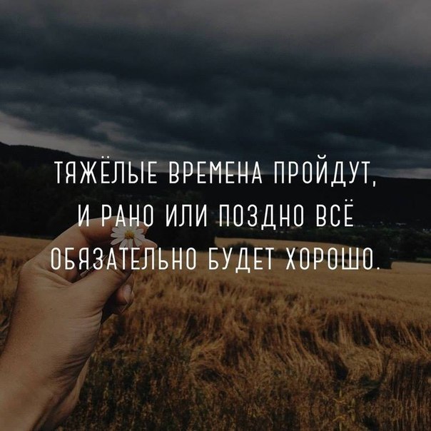    - 11  2017  21:58