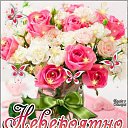 ���� �������, ��������, 46 ��� - ��������� 27 ��� 2017 � ������ ���� ����������