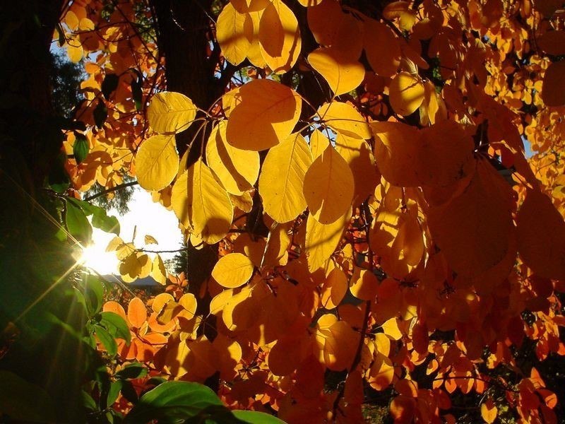 ��������� ������� ����� - 3