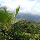 ���� �����, ������, 61 ��� - ��������� 28 ������� 2017 � ������ ���� ����������