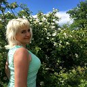 ���� �����, �������, 51 ��� - ��������� 18 ���� 2017 � ������ ���� ����������