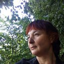 ���� ������, ��������, 54 ���� - ��������� 1 ������ 2017