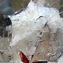  , - -  13  2017        (Andre Kohn)