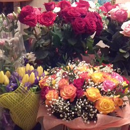 �����, ������, 59 ���