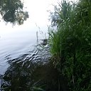 ���� ������, ����� ������, 58 ��� - ��������� 30 ���� 2017 � ������ ������ ������� 2017�