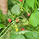 ���� ������, ������, 54 ���� - ��������� 19 ���� 2017 � ������ ������ ��������