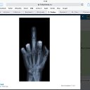 ���� ������, ������, 29 ��� - ��������� 10 ������� 2017 � ������ ������ ��������