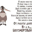 ���� ������� �����, ����, 55 ��� - ��������� 27 ���� 2017 � ������ ������ ��������