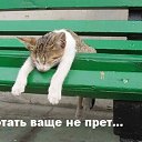 ���� ������, �������, 50 ��� - ��������� 26 ���� 2017 � ������ ������ ��������
