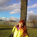  , -, 55  -  28  2017    2017