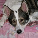 ���� �������, ���������, 60 ��� - ��������� 4 �������� 2017