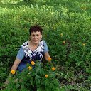 ���� ����, ����������� - ��������� 23 ���� 2017 � ������ ���� ����������