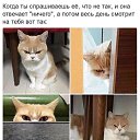 ���� ������, ������ - ��������� 5 ������ 2017 � ������ ������ ��������