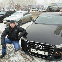 ���� ������, ��������, 41 ��� - ��������� 7 ������� 2017