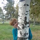 ���� �������, �����-���������, 38 ��� - ��������� 27 ���� 2017 � ������ ���� ����������