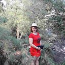 ���� �������, ���������, 42 ���� - ��������� 24 ���� 2017 � ������ ���� ����������