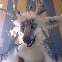 ���� Dmitry, �������, 40 ��� - ��������� 14 �������� 2017 � ������ ���� ����������