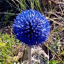 ���� �����, ����������, 53 ���� - ��������� 8 ������� 2017 � ������ ������� 2017�