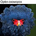 ���� �����, ������, 57 ��� - ��������� 29 ������� 2017 � ������ ���� ����������
