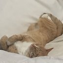 ���� �������, ������, 53 ���� - ��������� 4 ���� 2017 � ������ ���� ����������